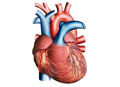 Causes cardiaques des embolies