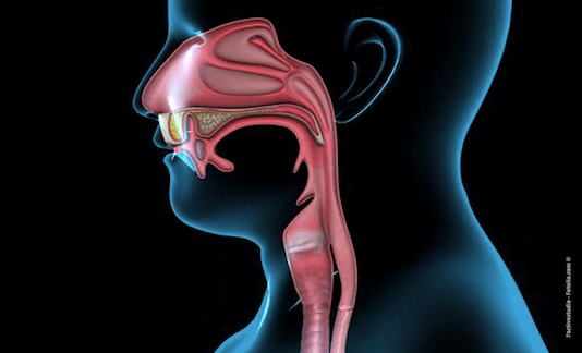 Cancers des voies aero-digestives supérieures