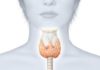 Cancer médullaire de la thyroïde (Suite)