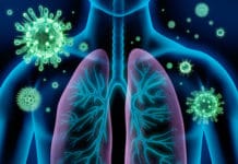 Infections respiratoires basses communautaires de l’adulte (immunodépression exclue) (Suite)