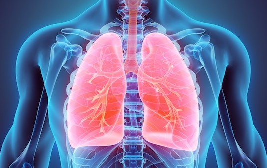 Médiateurs biologiques de l’inflammation pulmonaire
