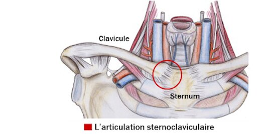 Pathologie de l’articulation sternoclaviculaire